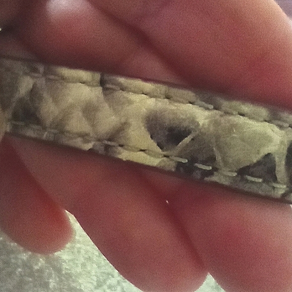 Kate Spade Triple Gusset with Dramatic Snakeskin Shoulder Strap and Gusset; NWT - Picture 9 of 12